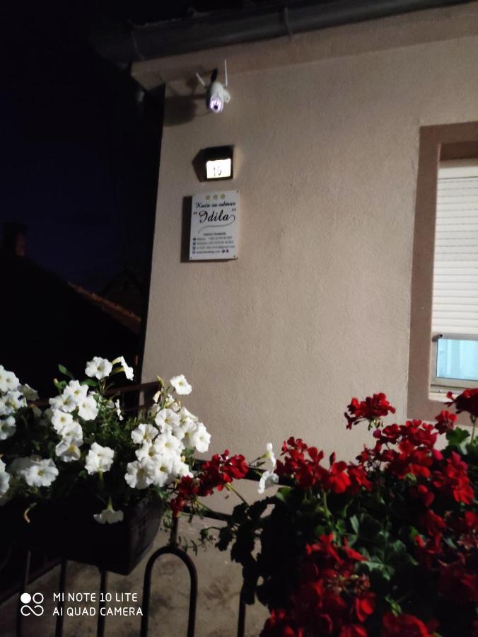 Kuca Vila Idila Vrsac Exteriör bild